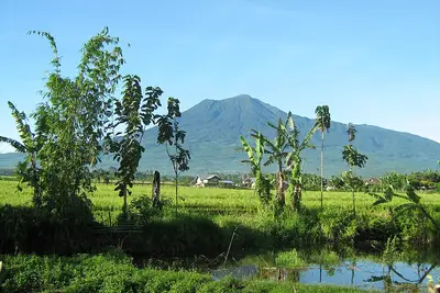 Pagar Alam