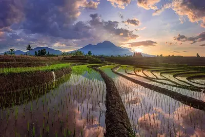 Bengkulu Utara