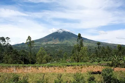 Garut