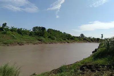 Brebes