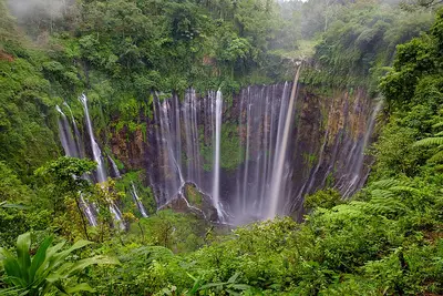 Lumajang
