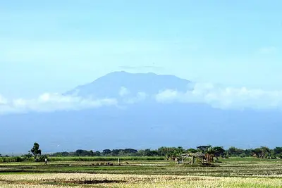 Ngawi