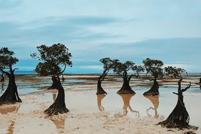 Sumba Timur
