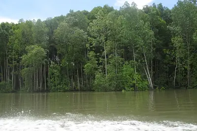 Teluk Bintuni
