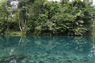 Sorong Selatan